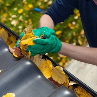 GUTTER CLEANING